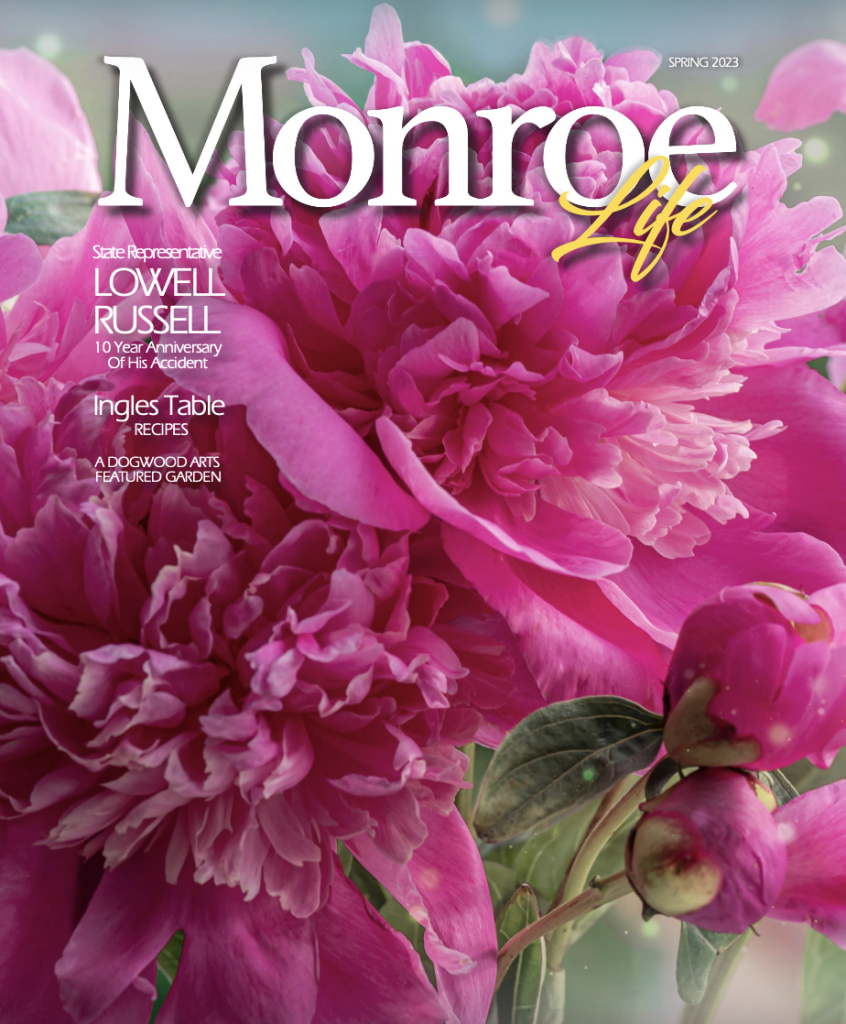 mexican-street-corn-casserole-monroe-life